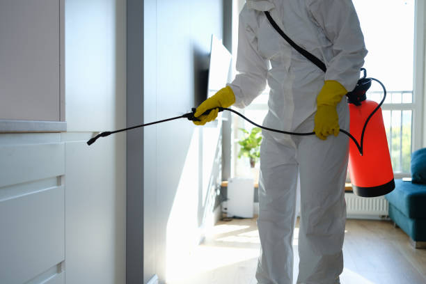 Best Emergency Mold Removal  in Jamestown, CA