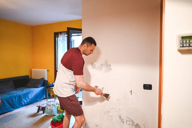 Best Toxic Mold Removal  in Jamestown, CA